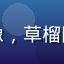 用户晨曦的头像，草榴网导航用户反馈